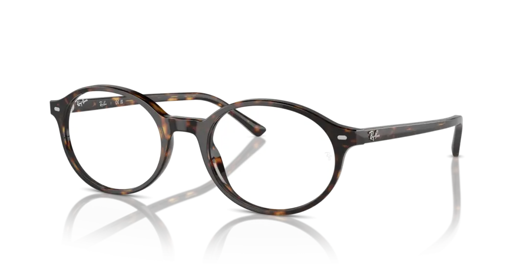 Ray-Ban Optical German 0RX5429 2012