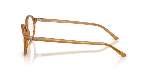Ray-Ban Optical German 0RX5429 8439