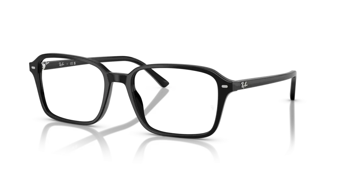 Ray-Ban Optical Raimond 0RX5431F 2000