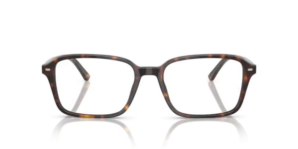Ray-Ban Optical Raimond 0RX5431F 2012
