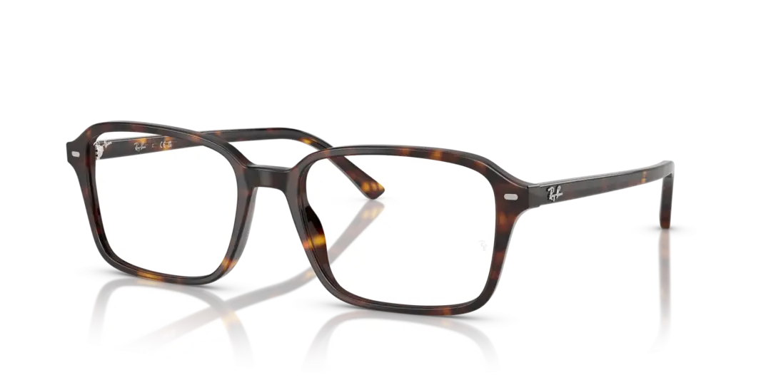 Ray-Ban Optical Raimond 0RX5431F 2012