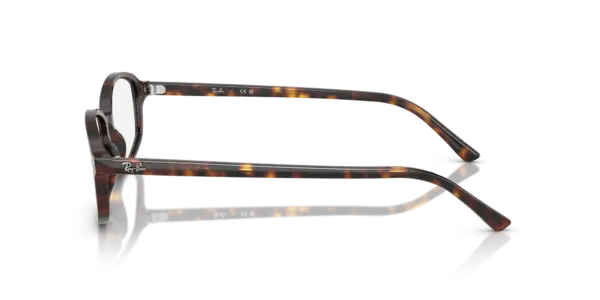 Ray-Ban Optical Sam 0RX5432 2012