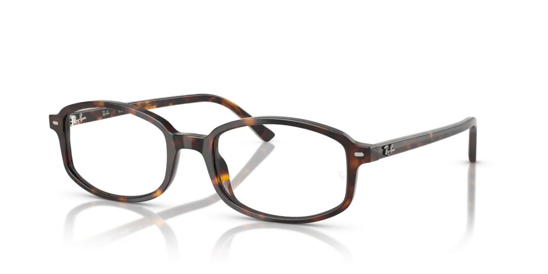 Ray-Ban Optical Sam 0RX5432 2012
