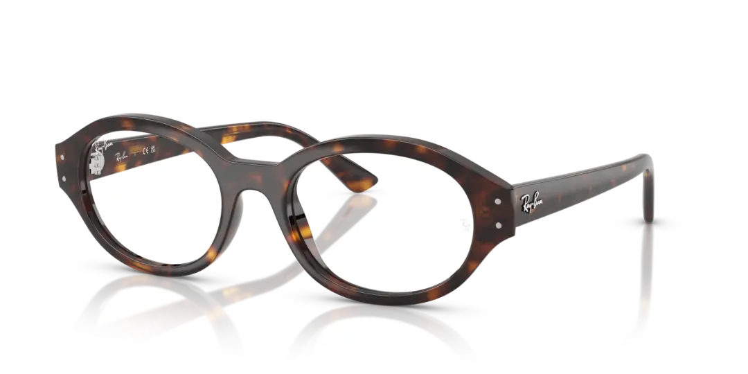 Ray-Ban Optical Shilo 0RX7257F 8320