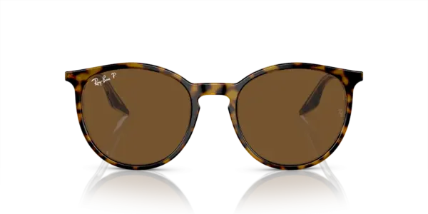 Ray-Ban 0RB2204F 139357