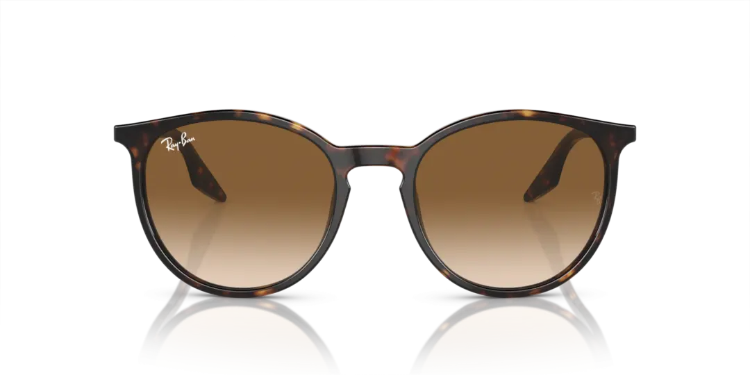 Ray-Ban 0RB2204F 902/51