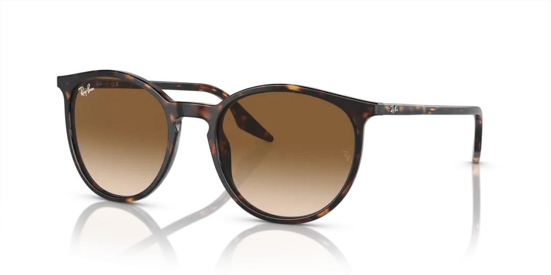 Ray-Ban 0RB2204F 902/51