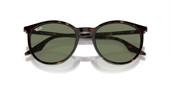 Ray-Ban 0RB2204F 902/GJ