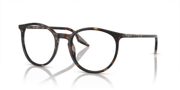 Ray-Ban 0RB2204F 902/GJ