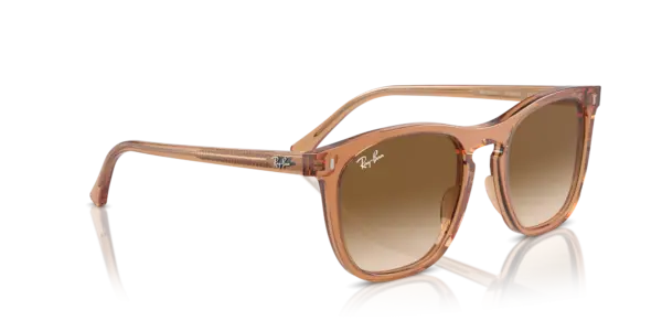 Ray-Ban 0RB2210F 676451