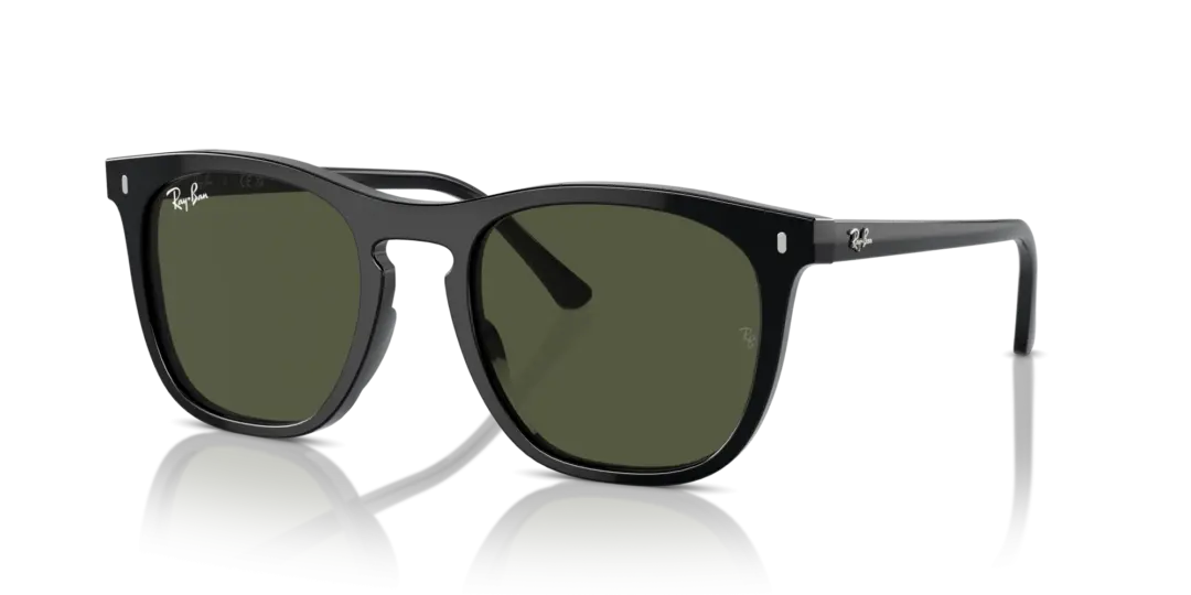 Ray-Ban 0RB2210F 901/31