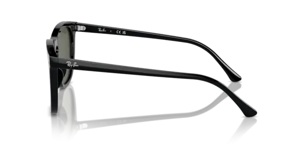 Ray-Ban 0RB2210F 901/31