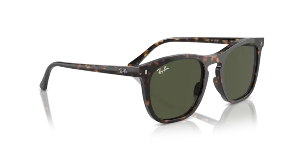 Ray-Ban 0RB2210F 902/31