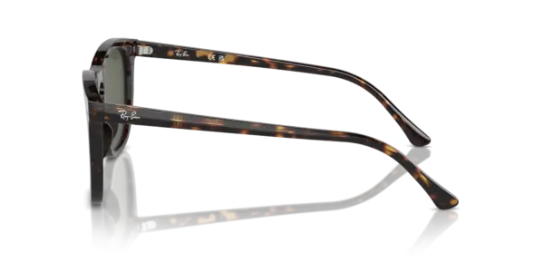 Ray-Ban 0RB2210F 902/31