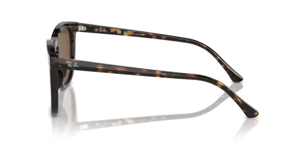 Ray-Ban 0RB2210F 902/57