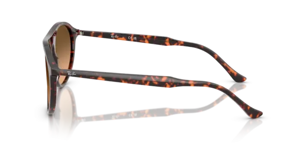 Ray-Ban 0RB2215F 14293B