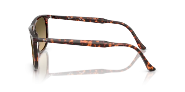 Ray-Ban 0RB2216F 14290A