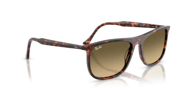 Ray-Ban 0RB2216F 14290A