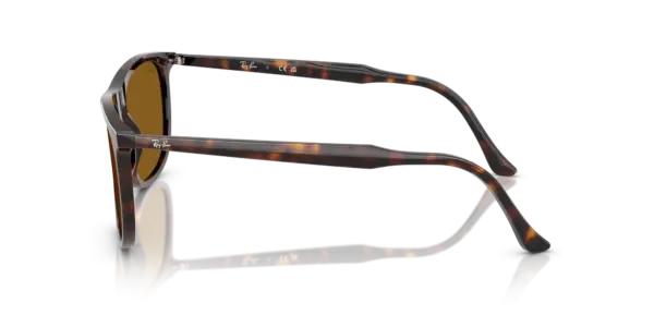 Ray-Ban 0RB2216F 902/33