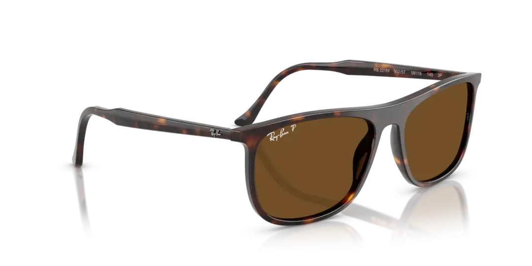 Ray-Ban 0RB2216F 902/57