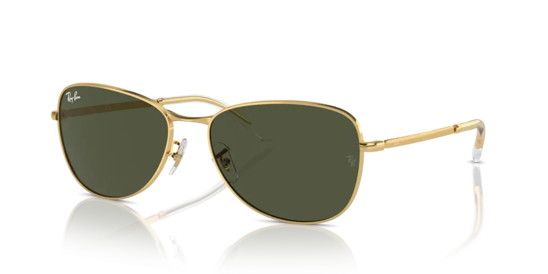 Ray-Ban 0RB3733 001/31