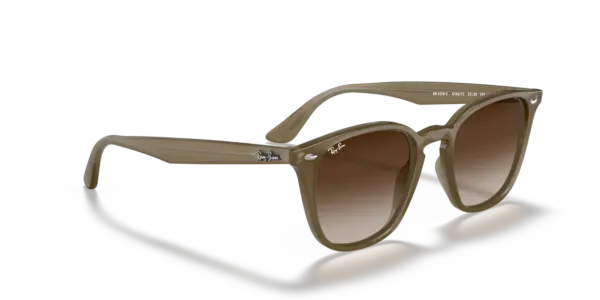 Ray-Ban 0RB4258F 616613