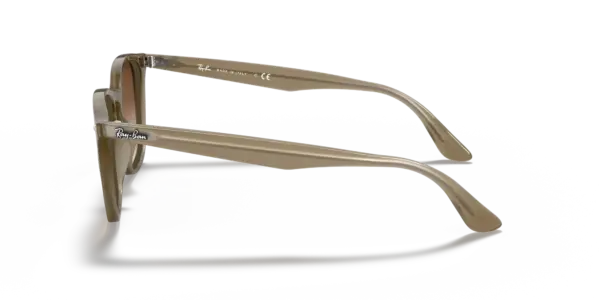 Ray-Ban 0RB4258F 616613