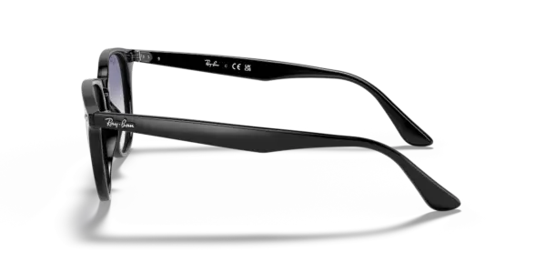 Ray-Ban 0RB4259F 601/19