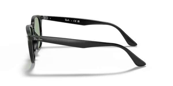 Ray-Ban 0RB4259F 601/2