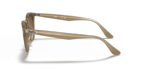 Ray-Ban 0RB4259F 616613