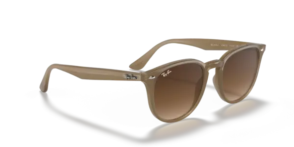 Ray-Ban 0RB4259F 616613