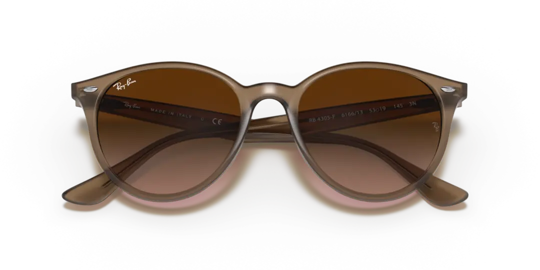 Ray-Ban 0RB4305F 616613