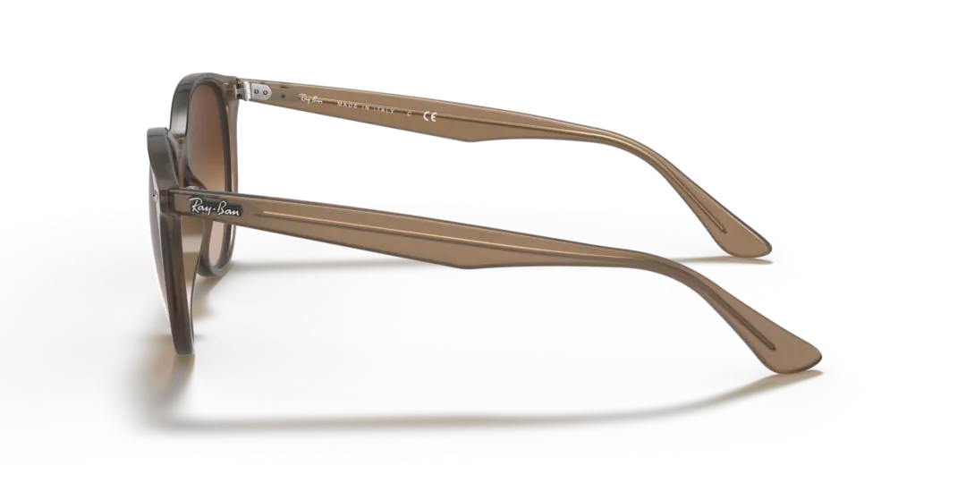Ray-Ban 0RB4305F 616613