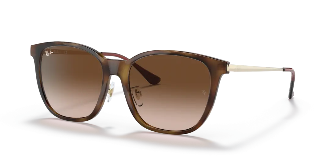 Ray-Ban 0RB4333D 710/13