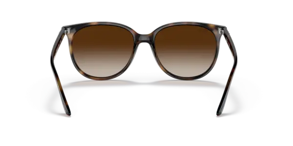Ray-Ban 0RB4378F 710/13