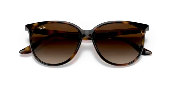 Ray-Ban 0RB4378F 710/13