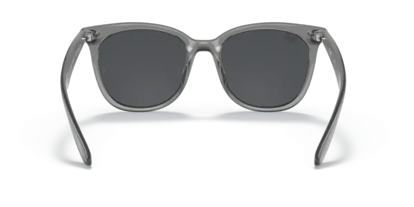 Ray-Ban 0RB4379D 659987