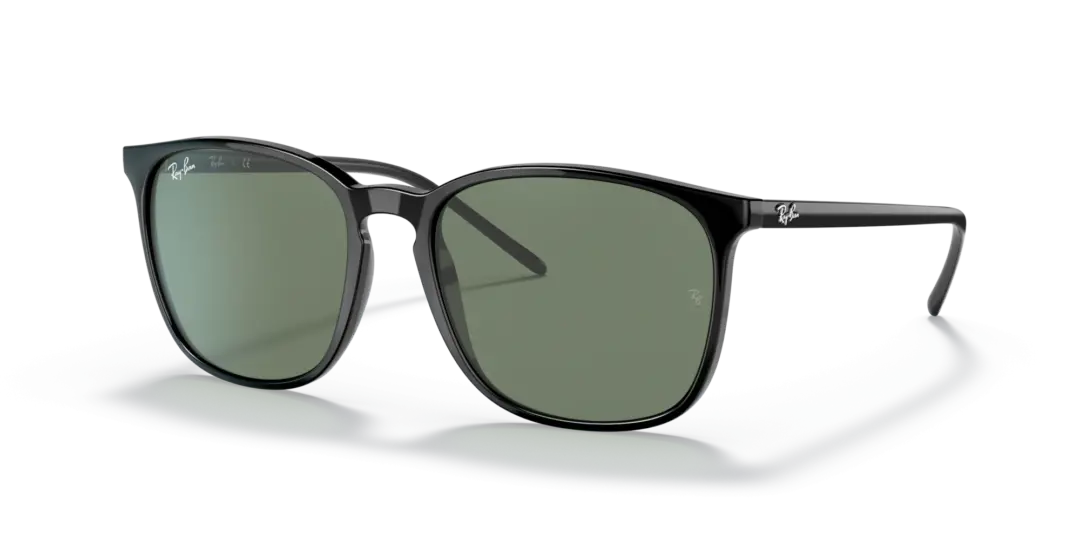Ray-Ban 0RB4387F 901/71