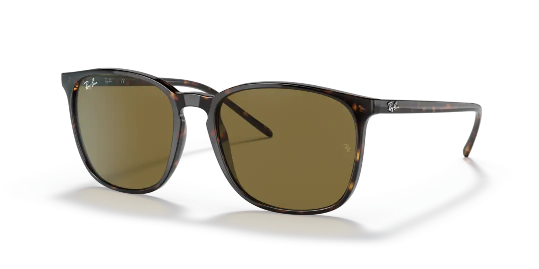 Ray-Ban 0RB4387F 902/73