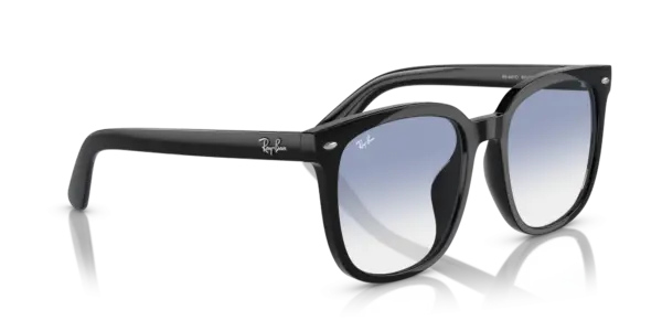 Ray-Ban 0RB4401D 601/19