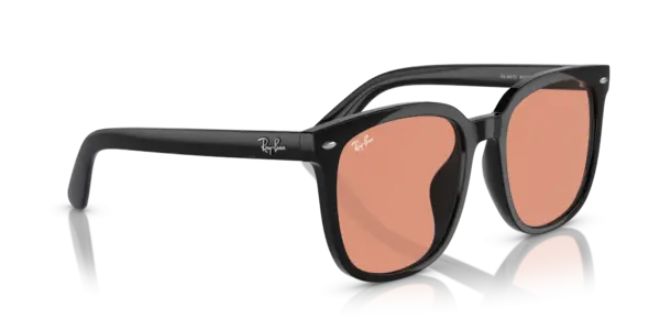 Ray-Ban 0RB4401D 601/74