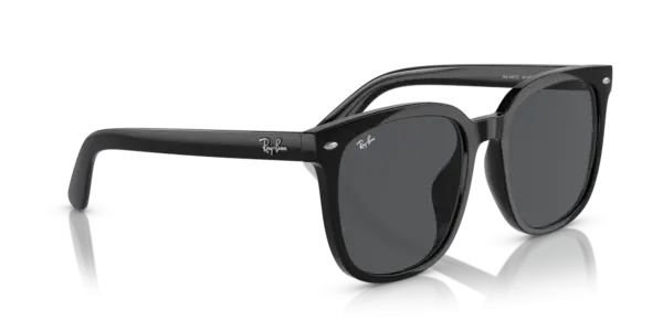 Ray-Ban 0RB4401D 601/87