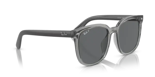 Ray-Ban 0RB4401D 659981