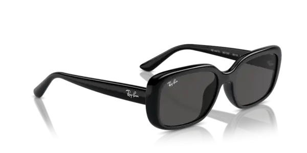 Ray-Ban 0RB4421D 667787