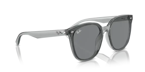 Ray-Ban 0RB4423D 645087