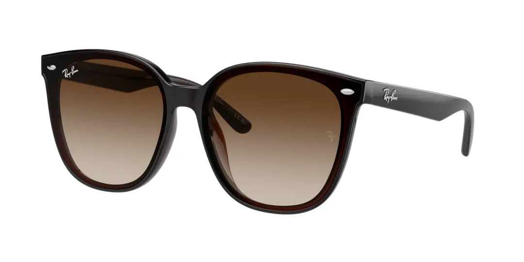 Ray-Ban 0RB4423D 714/13