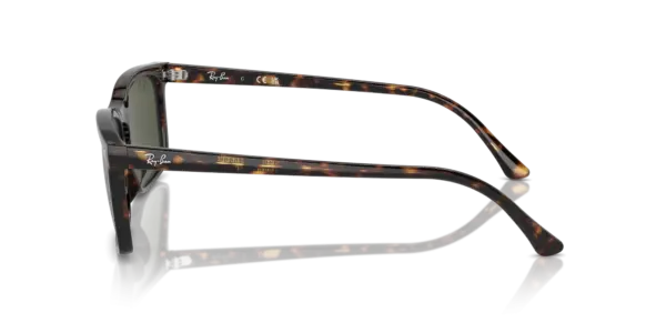 Ray-Ban 0RB4435 902/31