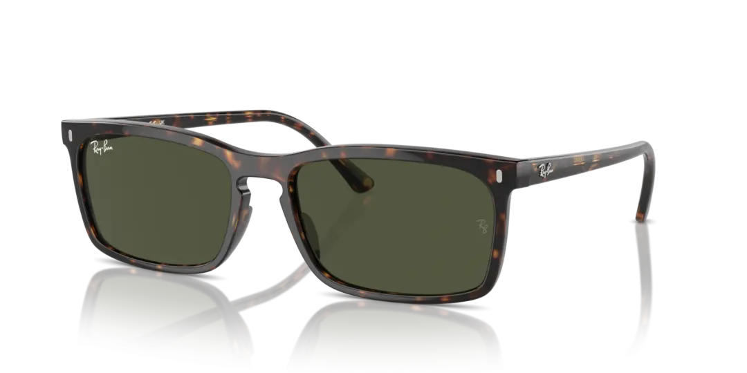 Ray-Ban 0RB4435 902/31