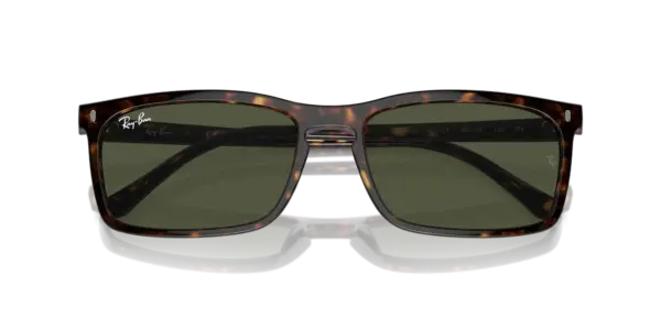 Ray-Ban 0RB4435 902/31