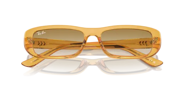 Ray-Ban 0RB4436D 668213